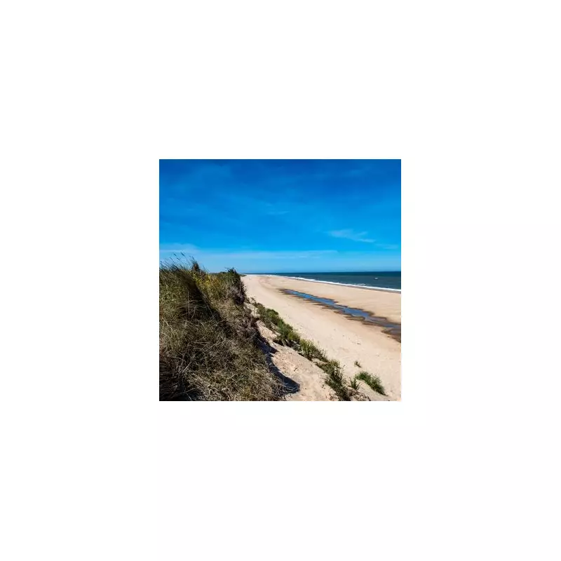 Tragedy Strikes Cornwall Beach as Person Dies in Freak Accident