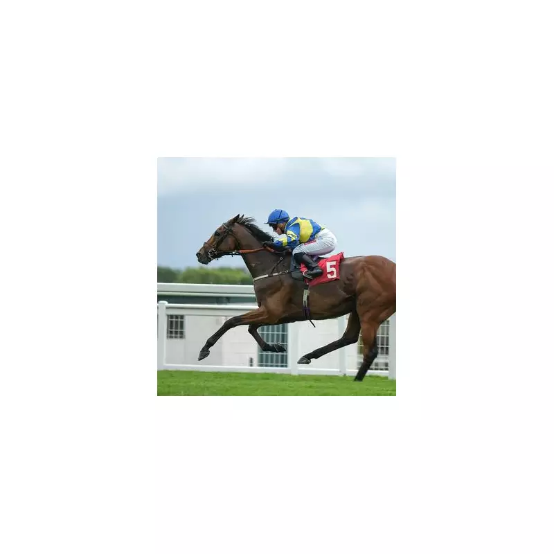 Trueshan's Tragic Death at Goodwood: Racing Community Mourns Loss of Champion Horse