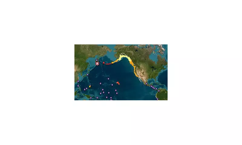 Trump Urges Hawaii and Pacific Coast to 'Stay Strong and Safe' as Tsunami Threat Looms