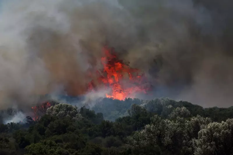 Turkey Battles Raging Wildfires Amid Extreme Heatwave – Latest Updates