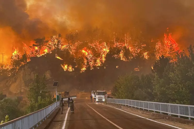 Turkish Wildfires Rage Near Izmir as President Erdogan Declares Emergency Measures