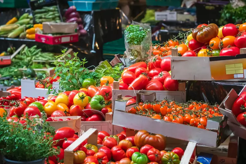 Urgent Salmonella Warning: Contaminated Tomatoes Spark Health Alert Across UK