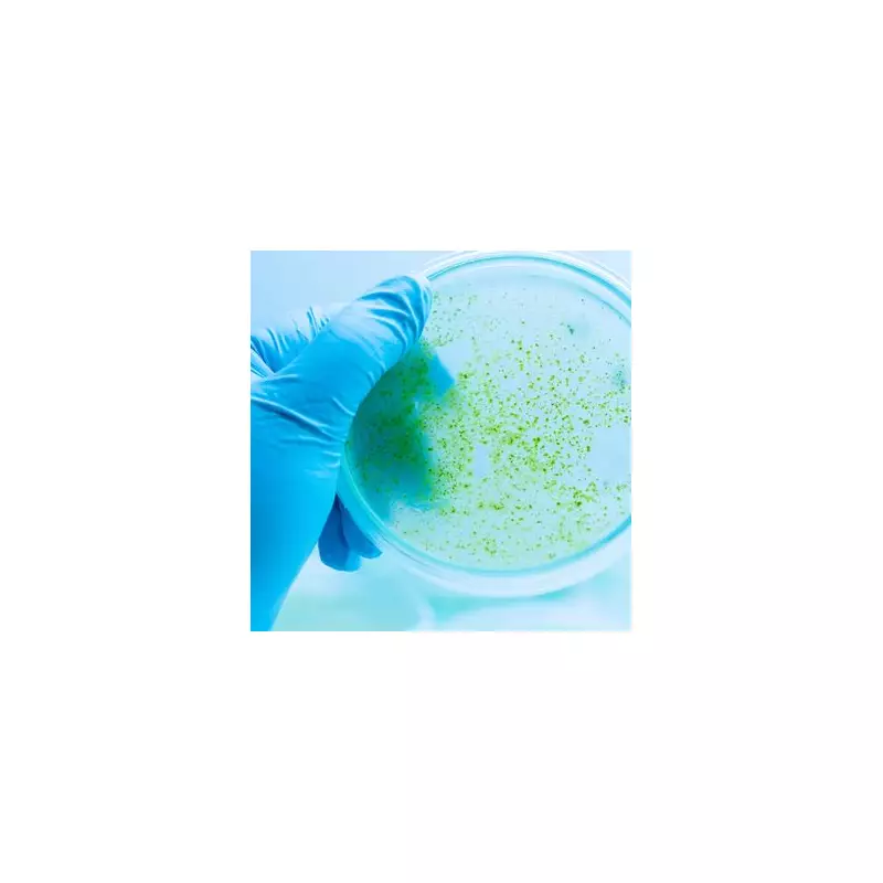 Urgent Warning for Dog Owners: Toxic Blue-Green Algae Poses Deadly Risk