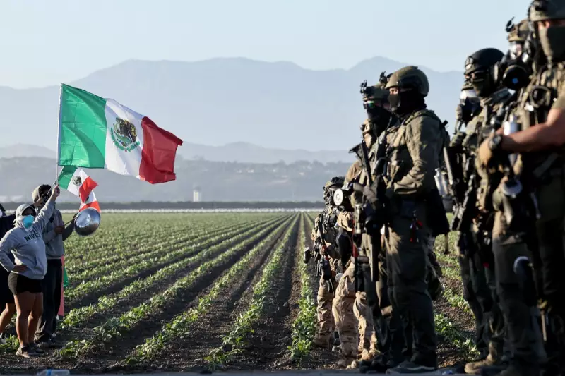 US Citizen Arrested in ICE Raid on Illegal Marijuana Farm – Shocking Details Revealed