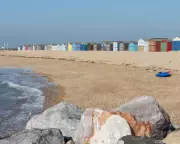A Trio of Butterflies Dance on the Shingle: A Summer Spectacle