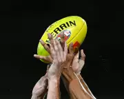 AFL Takes Stand Against Homophobic Slurs: A New Era for Inclusivity in Sports