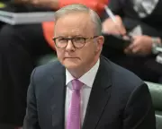 Albanese Condemns Gaza Starvation Crisis, Calls for Immediate Action