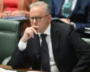 Albanese Condemns Israel for Alleged Breach of International Law, Rules Out Immediate Recognition of Palestinian State