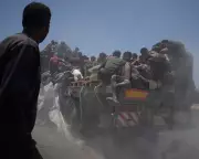 Albanese Condemns Israel's Actions in Gaza, Backs Palestinian Statehood