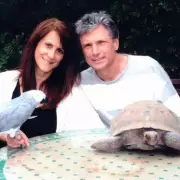 American Idol Shake-Up: Katy Perry Announces Exit After Seven Seasons