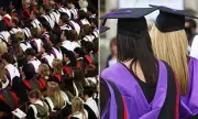 Are 'Mickey Mouse' Degrees Worth It? Study Reveals Surprising Benefits for Graduates