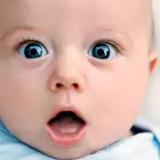 Baby's Heartwarming First Encounter with Sheep Will Melt Your Heart