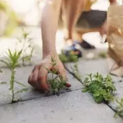 Banish Patio Weeds for Good with This Simple Household Ingredient