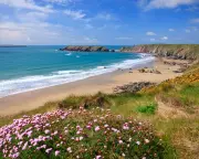 Best Family Nature Trips in the UK: Readers' Top Picks for 2025