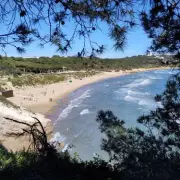 British Family Trapped in Gaza Receives Psychological Aid Amid Crisis