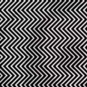Can You Spot the Hidden Animal? This Mind-Bending Optical Illusion Has Everyone Stumped!