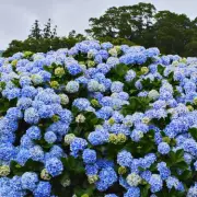 Can You Spot the Hidden Number? Only 1% Have 'Super Vision' to Solve This Puzzle