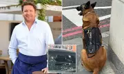 Celebrity Chef James Martin's Guard Dog Scare in London: Inside the Dramatic Incident