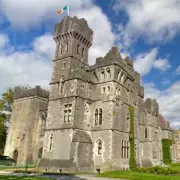 Chart-Topping Musician Stuns Fans with Surprise Performance at Stranger's Wedding