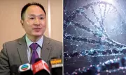 Chinese Scientist Jailed for 'Playing God': The Shocking Truth Behind the World's First Gene-Edited Babies