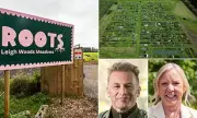 Chris Packham and Deborah Meaden Win Battle to Keep Controversial Allotment