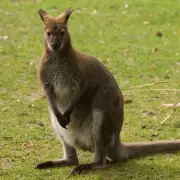 Could You Soon Holiday in a Historic UK Prison? New Plans Revealed!