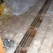 Couple's Basement Clean-Up Uncovers Hidden 17th-Century Treasure Trove