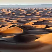 Couple's Dream Morocco Trip Turns Tragic as Both Die in Devastating Crash