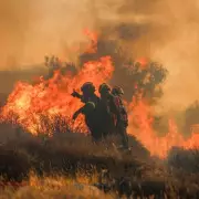 Crete Issues Urgent Warning as Extreme Heatwave Sparks Wildfire Fears