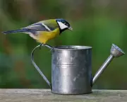 Crossword Editors’ Desk: Time, Space, and Revolutionary Watering Cans