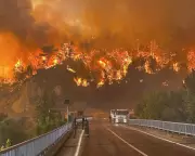 Deadly Wildfires and Scorching Heatwave Grip Turkey: Weather Tracker Report