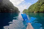 Discover Palau: The Ultimate Diving Paradise in Micronesia