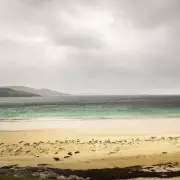 Discover the UK's Hidden Caribbean: This Stunning Beach Rivals Tropical Paradises