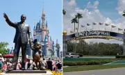 Disney World Shakes Up Reservations: Magic Kingdom to Become Fifth Theme Park