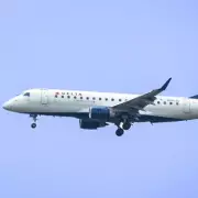 Dramatic Police Raid on Passenger Plane: Shocking Footage Emerges