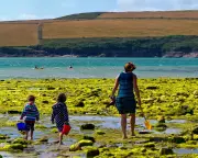 Dream Home or Distant Dream? UK Holiday Hotspots See Surge in Property Buyers