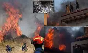 Eastern Europe and Greece Engulfed by Wildfires: Families Forced to Flee as Flames Spread