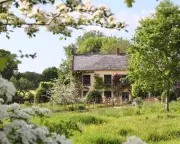 Escape to Nature: Stunning Homes with Wild Gardens for Sale Across England and Wales