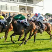 Expert Horse Racing Tips for Windsor and Galway: Monday's Best Bets