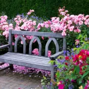 Expert Tips for Pruning Roses: Keep Your Blooms Healthy & Vibrant