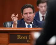 Florida Supreme Court Upholds Controversial Congressional Map in Landmark Decision