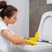 Forget Expensive Cleaners: This Simple Trick Banishes Toilet Seat Stains Instantly
