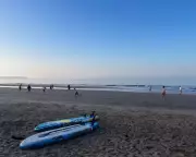 From Serene to Toxic: A Shocking Transformation in the Satin Sea