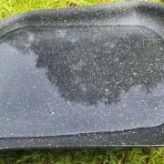 Gardeners Urged to Place a Tray of Water Outdoors to Help Wildlife Survive Heatwaves