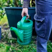 Gardeners Urged to Save Rainwater as Hosepipe Bans Loom – Essential Tips to Beat the Drought