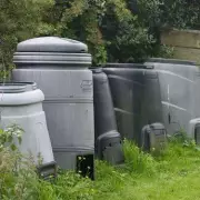 Gardening Experts Warn Brits: Avoid This Common Plant Pot Mistake