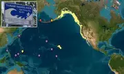 Hawaii on Tsunami Alert After Powerful Earthquake Strikes Russia