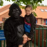 Hero Dad Saves Daughter from Gorilla Enclosure in Heart-Stopping Zoo Drama
