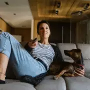 Hollywood's Most Romantic Film: The Magnetic Chemistry of 'The Notebook' Revealed