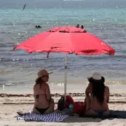 Horror at Hollywood Beach: Shark Attack Leaves Woman Fighting for Life